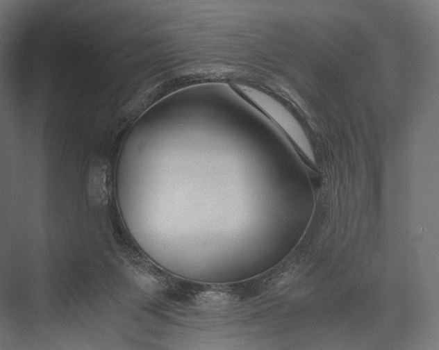 X0000076050119200610061520