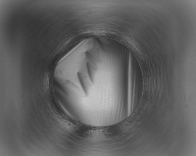 X0000076050120200610061520