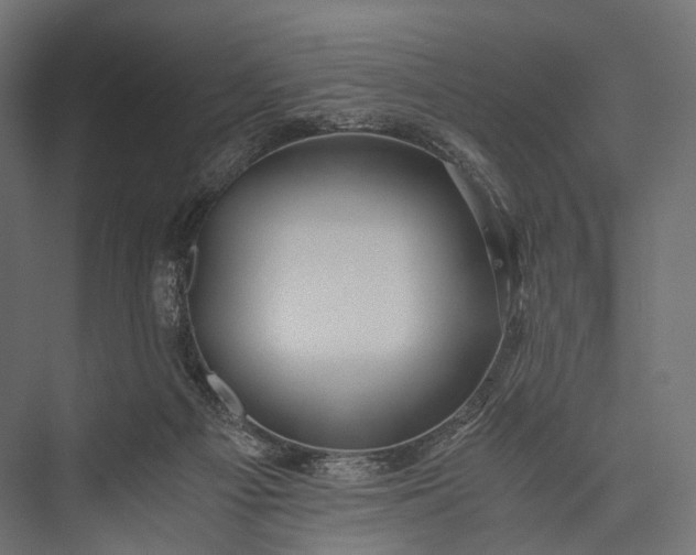 X0000076050121200610061520