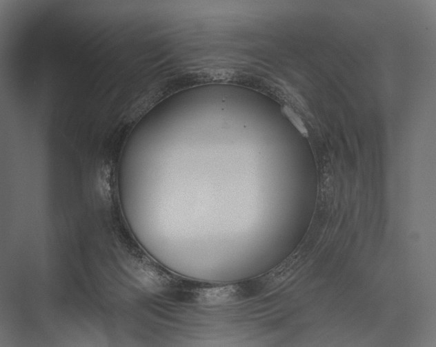 X0000076050122200610061520