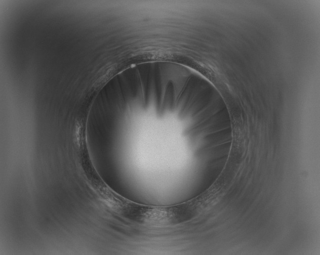 X0000076050123200610061520