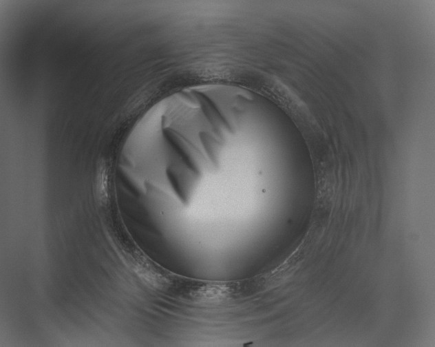 X0000076050124200610061520