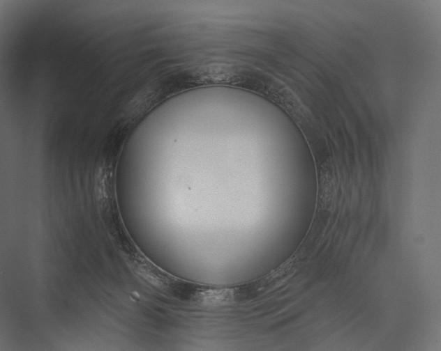 X0000076050126200610061520