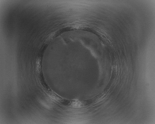 X0000076050127200610061520