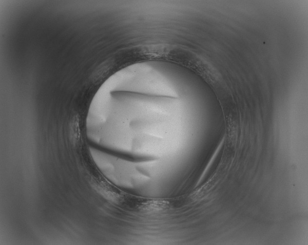 X0000076050128200610061520