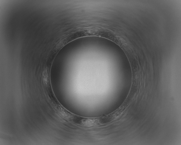 X0000076050129200610061520