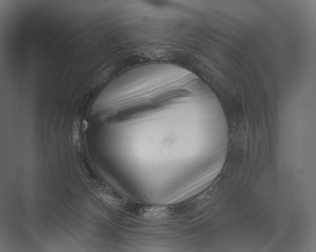 X0000076050132200610061520