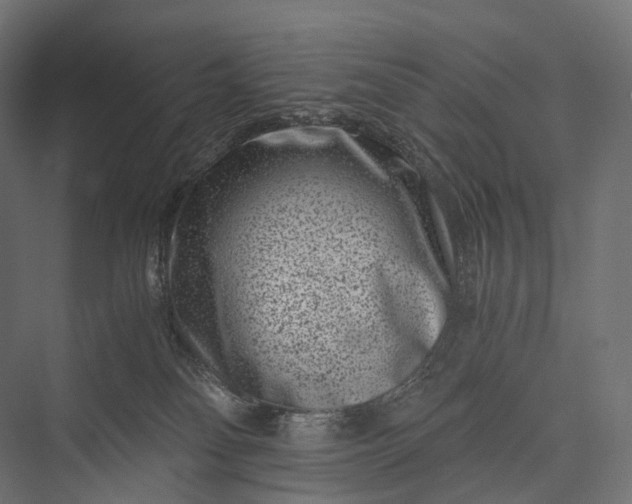 X0000076050134200610061520