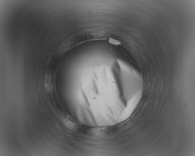 X0000076050136200610061520