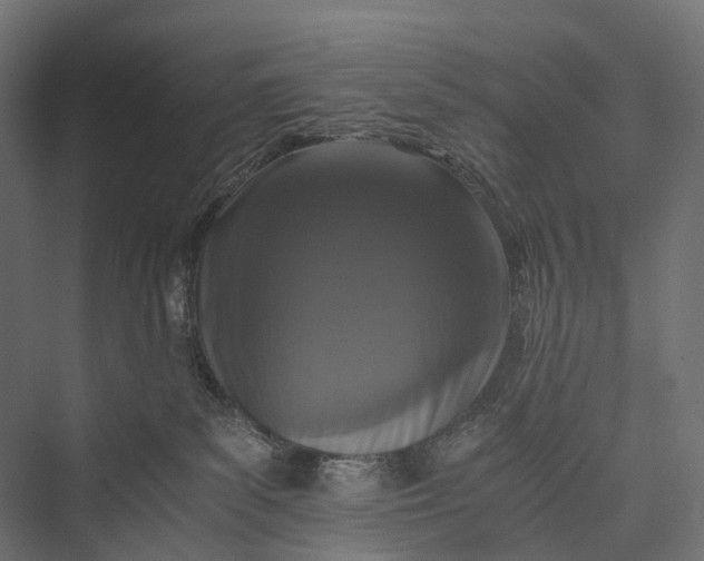 X0000076050139200610061520