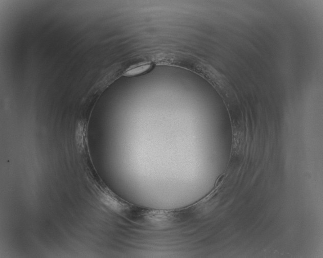 X0000076050142200610061520