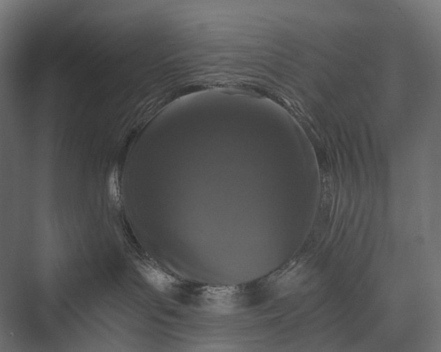 X0000076050143200610061520