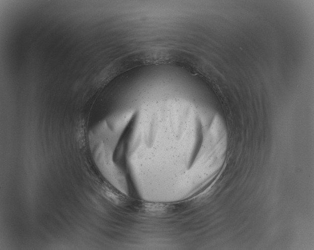 X0000076050144200610061520