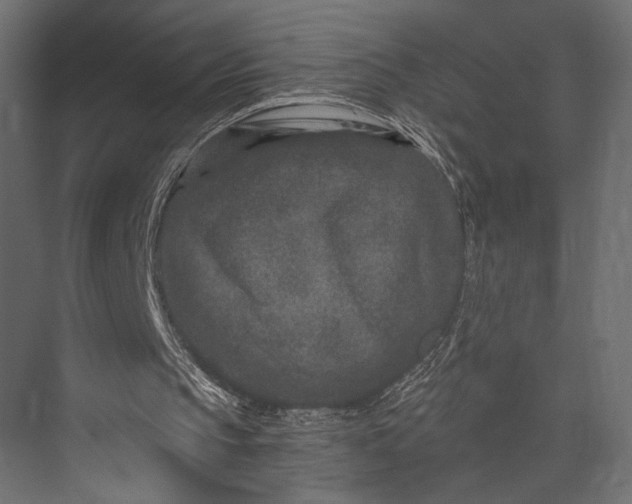 X0000076050145200610061519