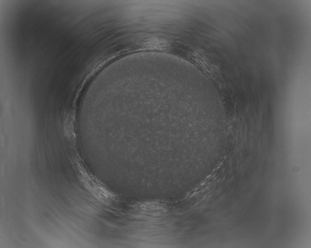 X0000076050146200610061519
