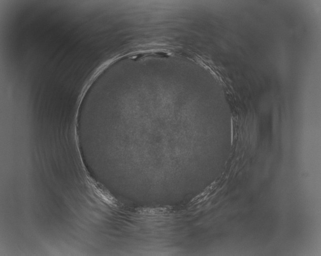 X0000076050147200610061519