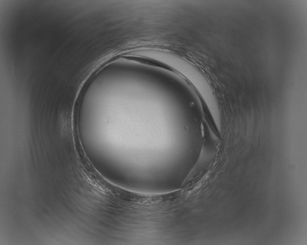X0000076050148200610061519