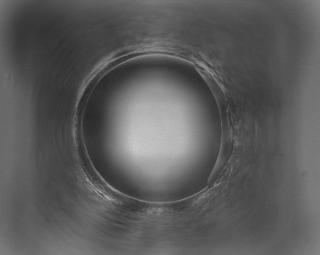 X0000076050152200610061519