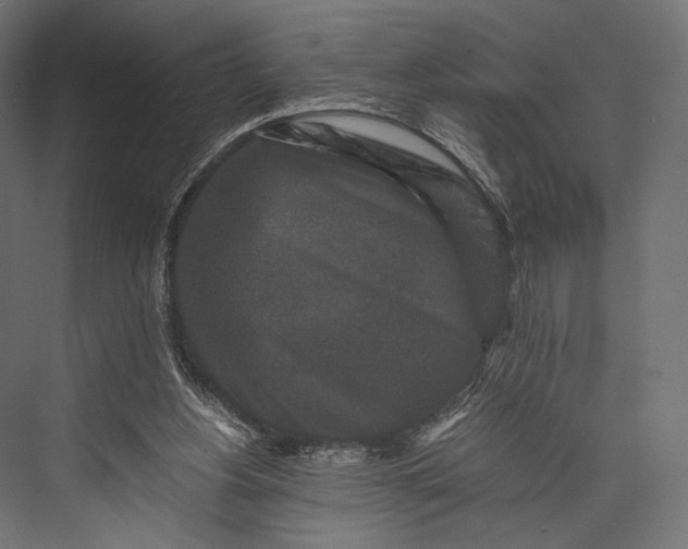 X0000076050156200610061519