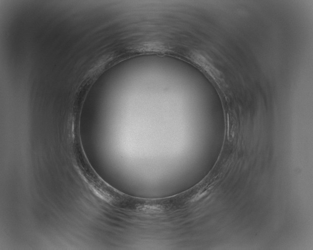 X0000076050157200610061519