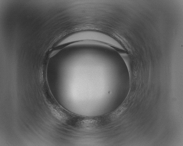 X0000076050158200610061519