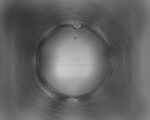 X0000076050159200610061519