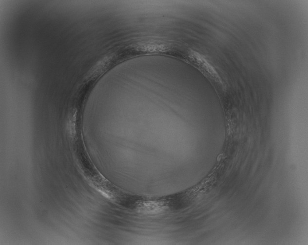 X0000076050163200610061519