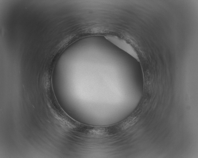X0000076050164200610061519
