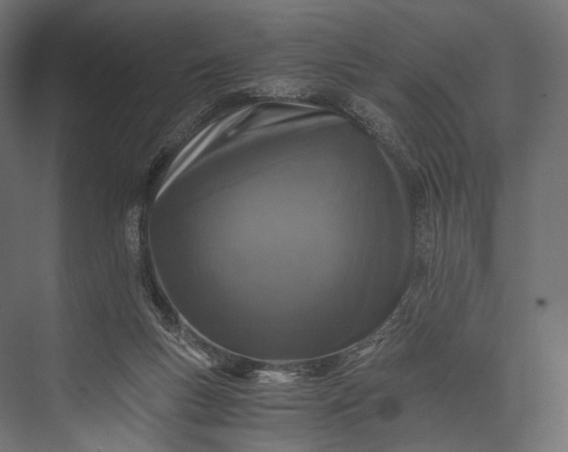 X0000076050167200610061519