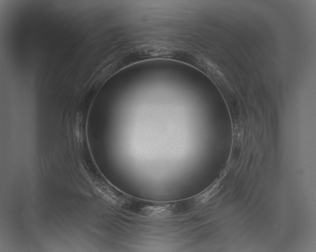 X0000076050170200610061519