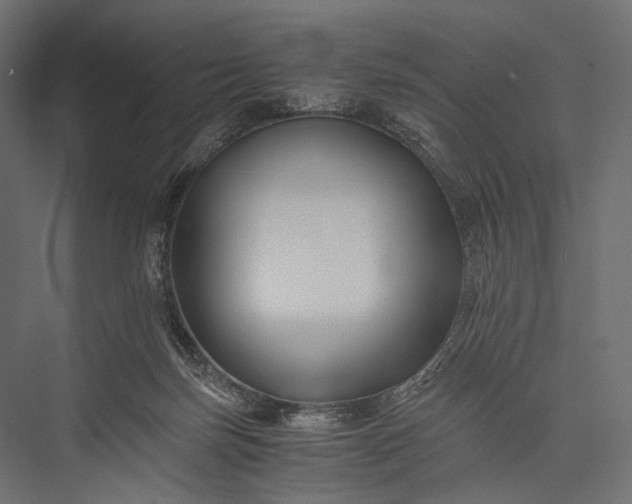 X0000076050171200610061519