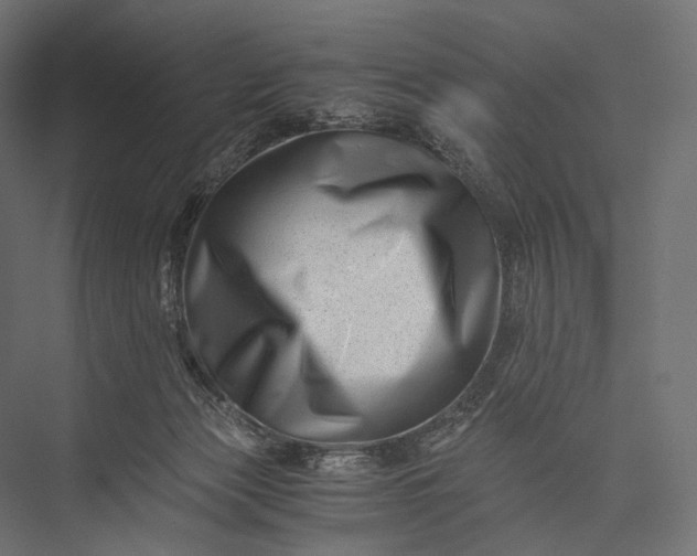 X0000076050173200610061519