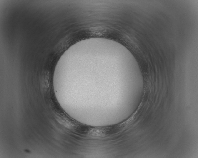 X0000076050174200610061519