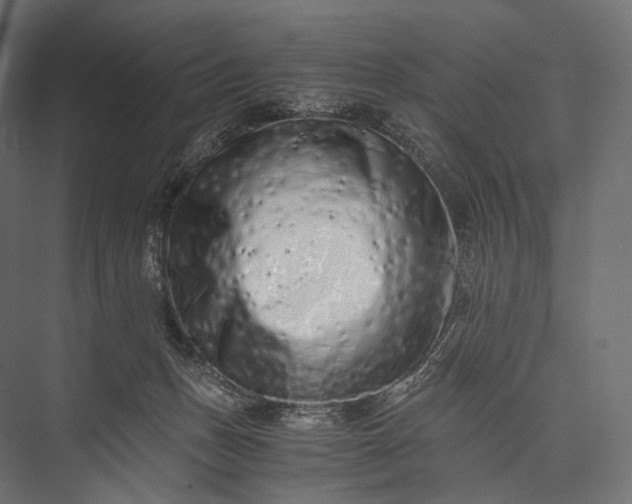 X0000076050175200610061519