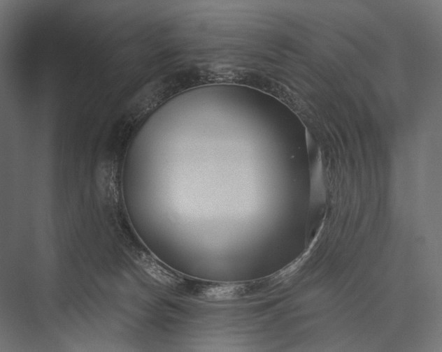 X0000076050178200610061519