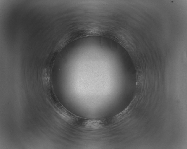 X0000076050179200610061519