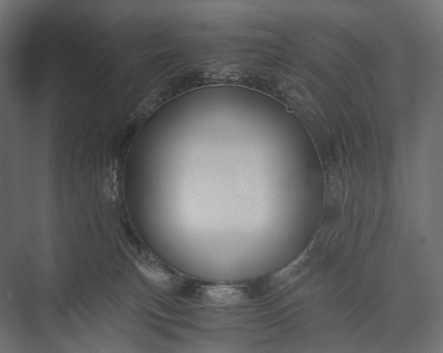 X0000076050183200610061519