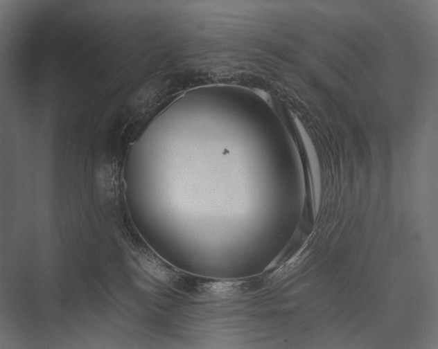 X0000076050184200610061520
