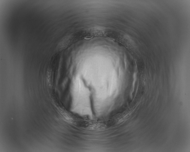 X0000076050185200610061520