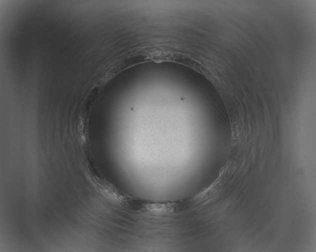 X0000076050187200610061520