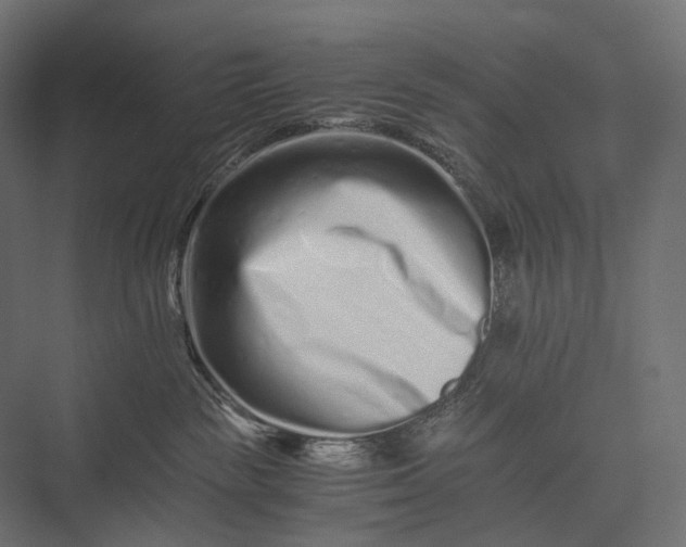 X0000076050189200610061520