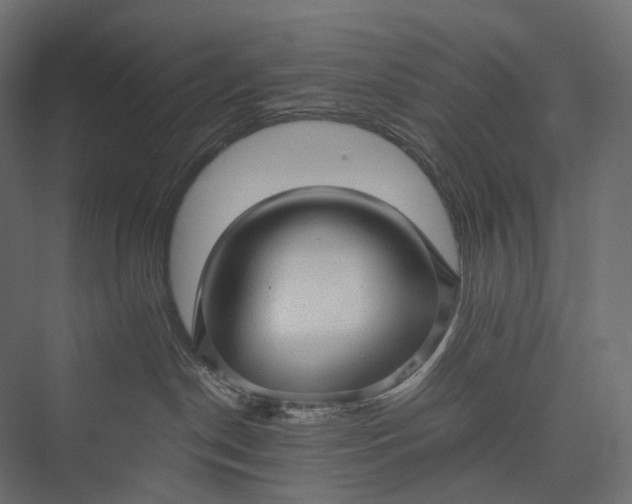 X0000076050190200610061520