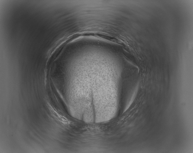 X0000076050194200610061519