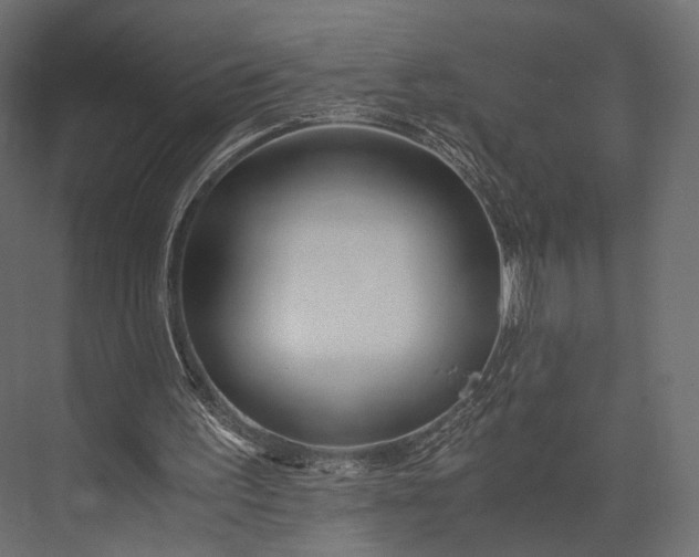 X0000076050195200610061519