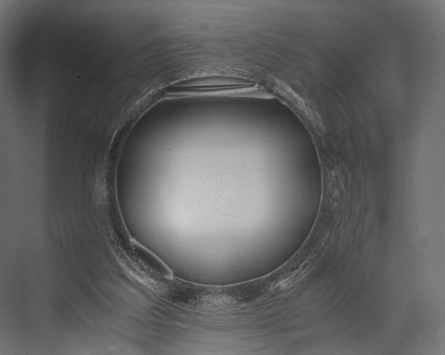X0000076050203200610061519