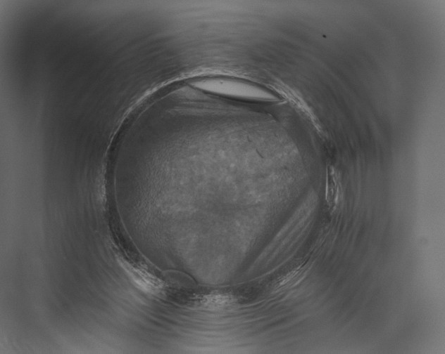 X0000076050204200610061519
