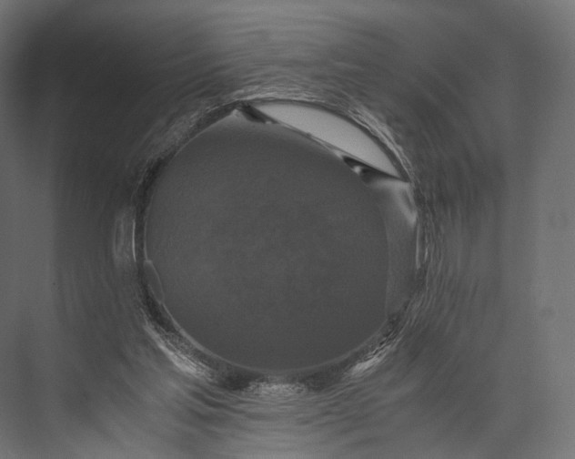 X0000076050205200610061519