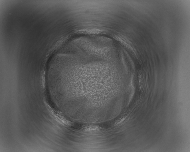 X0000076050206200610061519
