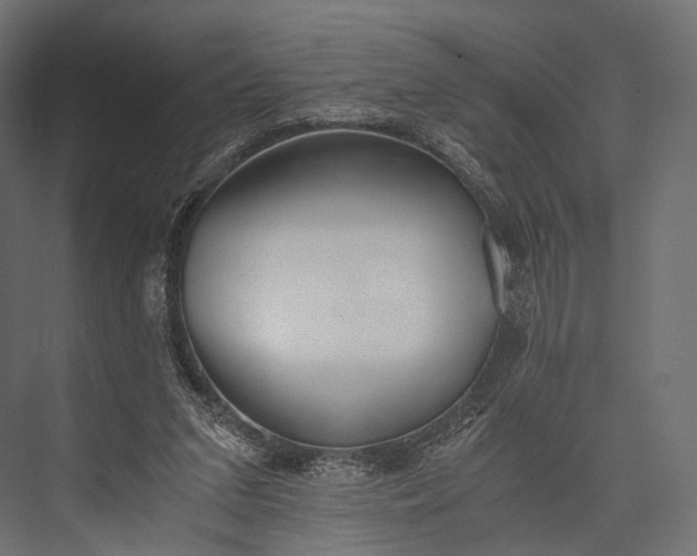 X0000076050207200610061519