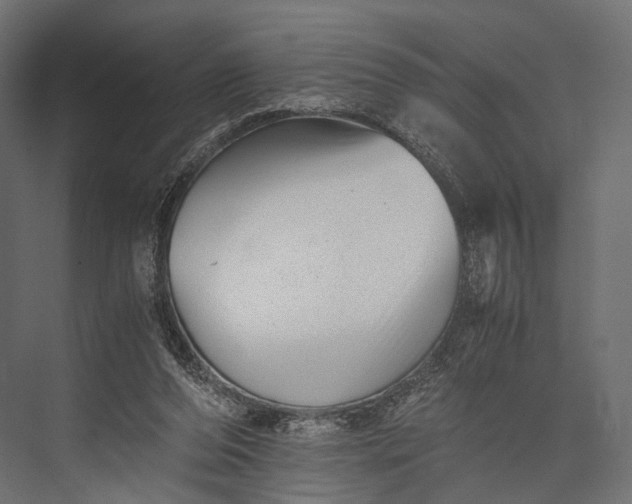 X0000076050208200610061519